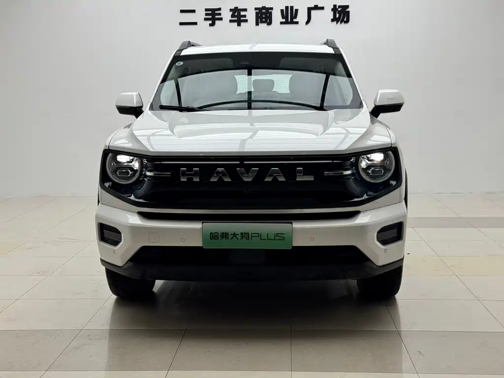 Haval Big Dog PLUS New Energy — миниатюра 2