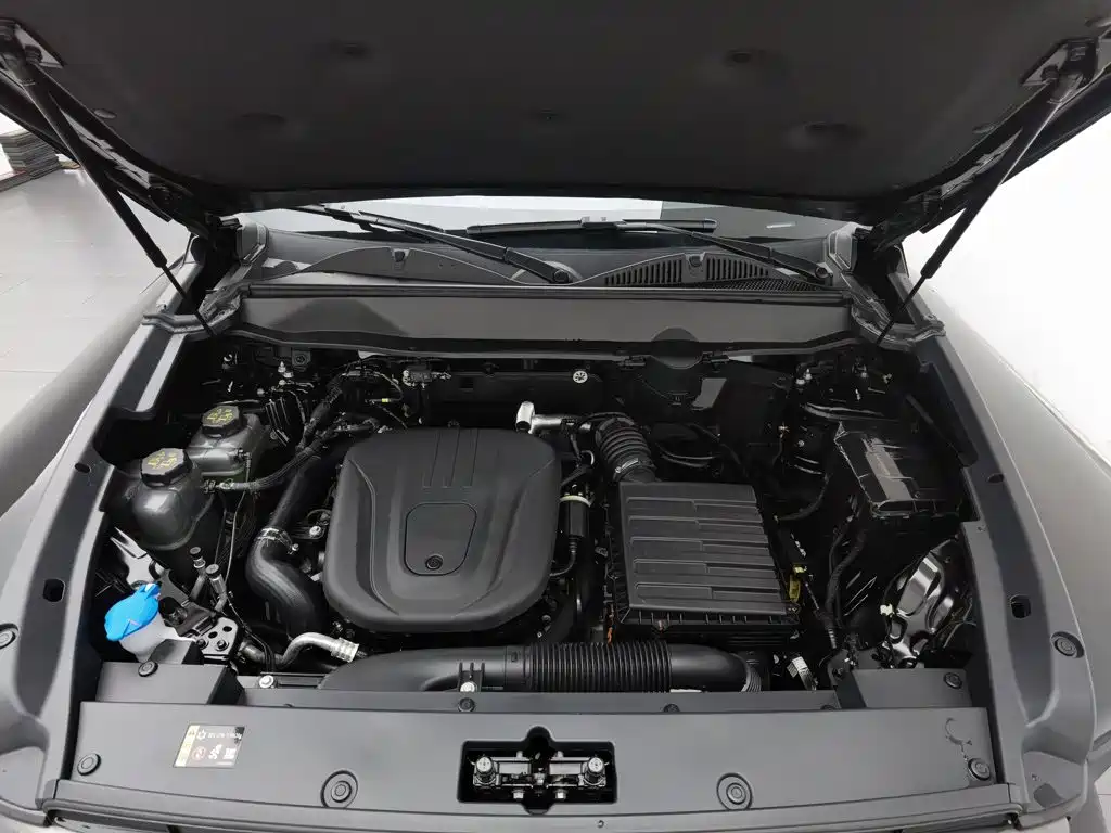 Haval Menglong New Energy — миниатюра 6