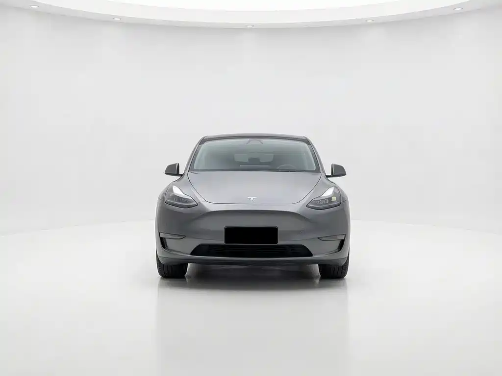 Tesla Model Y — миниатюра 4