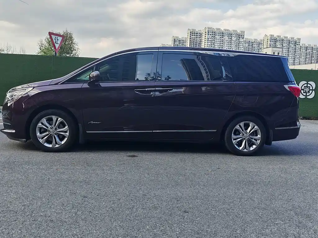 Buick GL8 — миниатюра 25