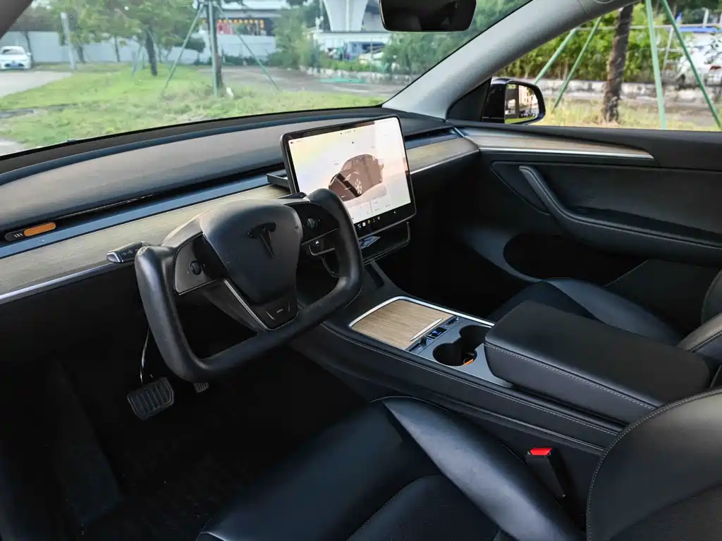 Tesla Model Y — миниатюра 6