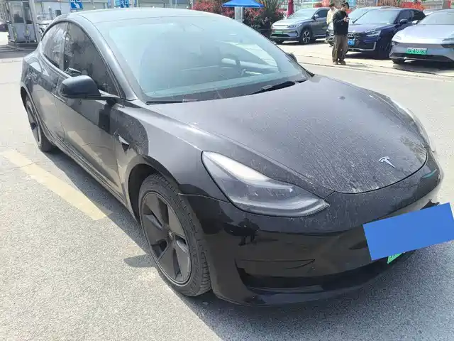 TESLA MODEL 3 2021