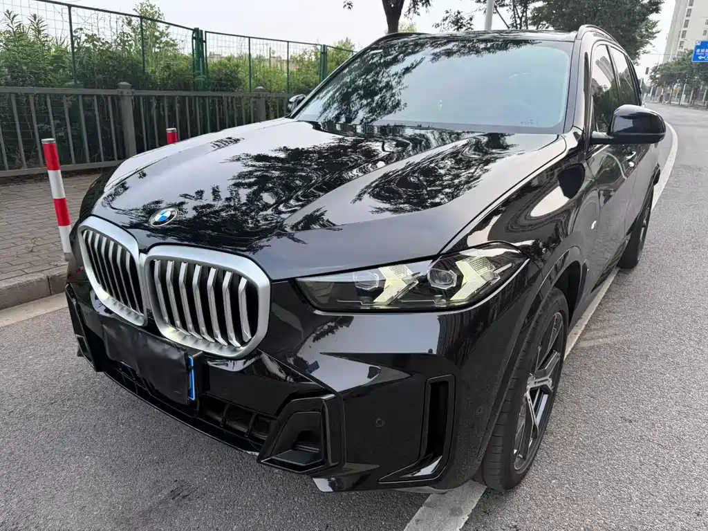 BMW X5 — миниатюра 2