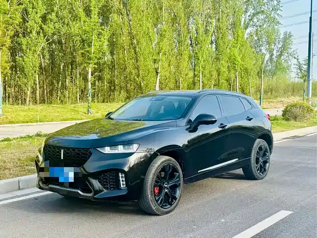 2018 Wey VV7