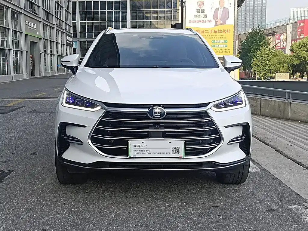 BYD Tang New Energy — миниатюра 2