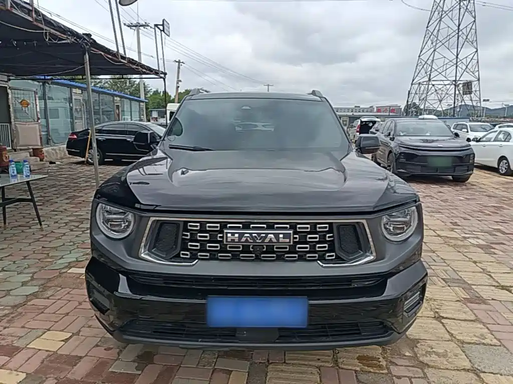 Haval Big Dog PLUS — миниатюра 3