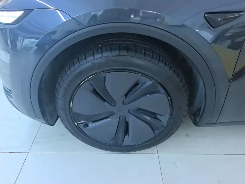 Tesla Model Y — миниатюра 23