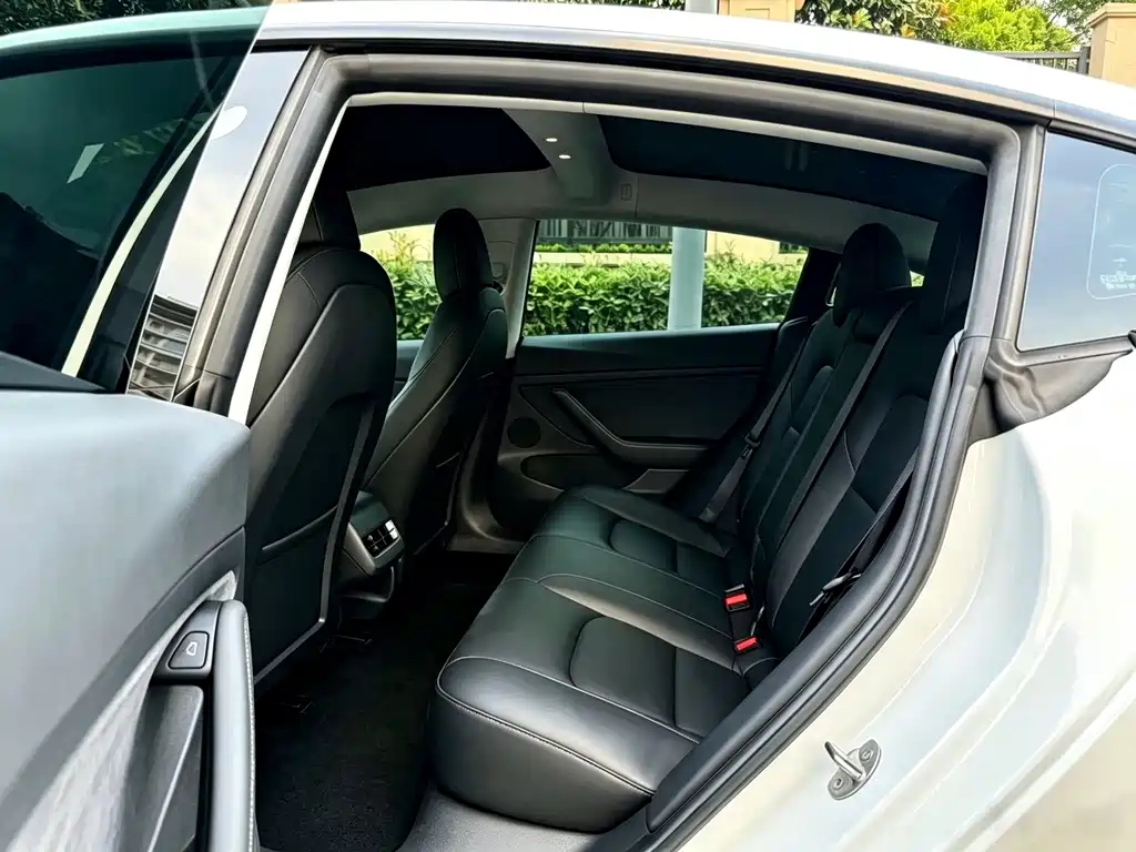 Tesla Model 3 — миниатюра 5
