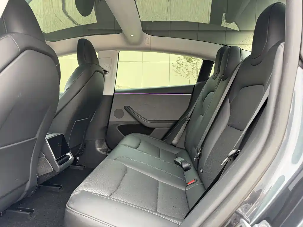 Tesla Model 3 — миниатюра 6
