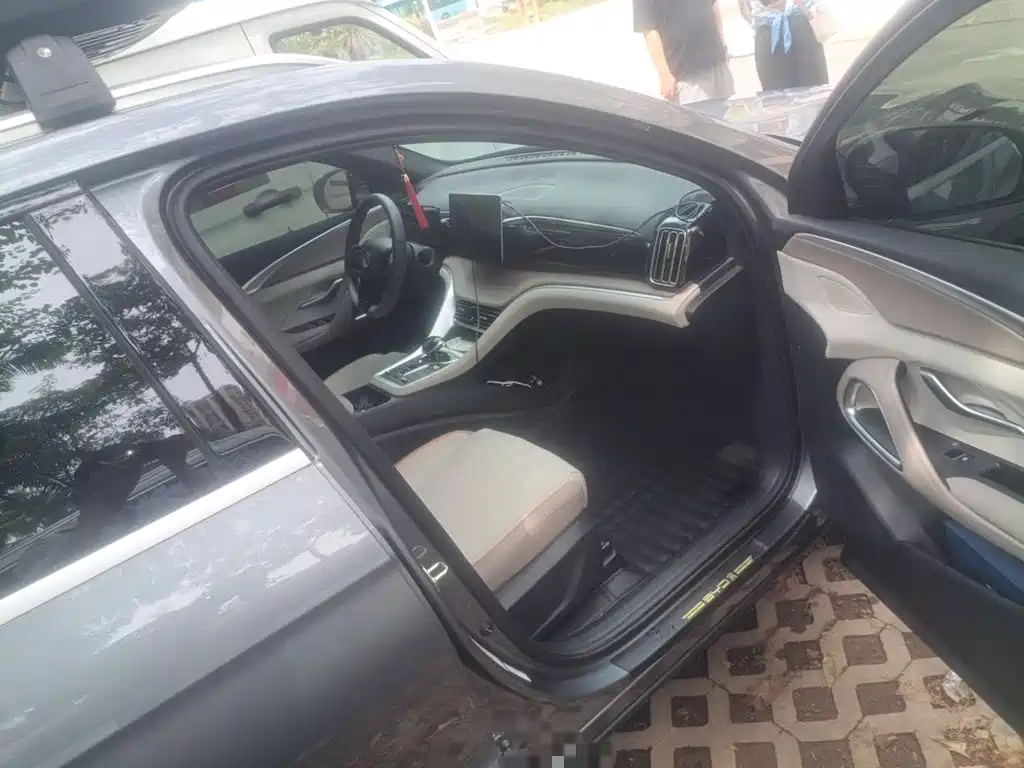 BYD Pro New Energy — миниатюра 19