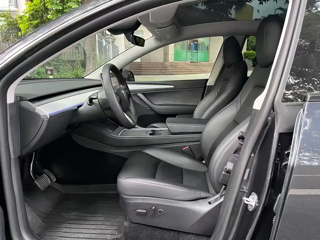 Tesla Model Y — миниатюра 3