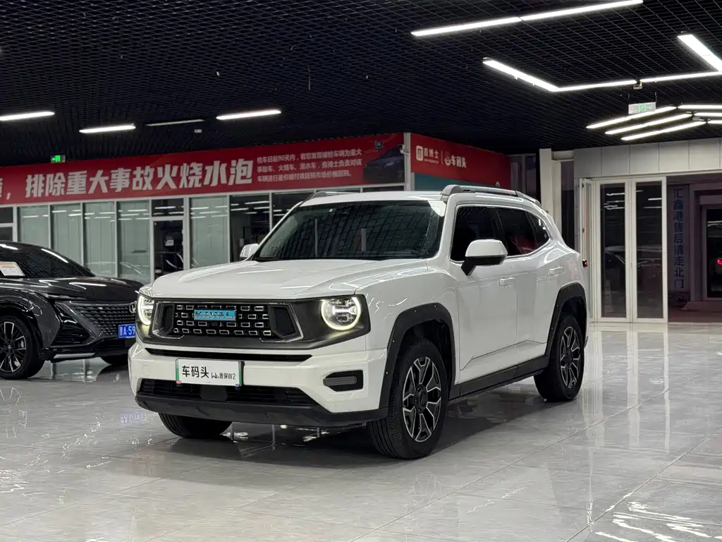 Haval Плюс новая энергия. — миниатюра 3