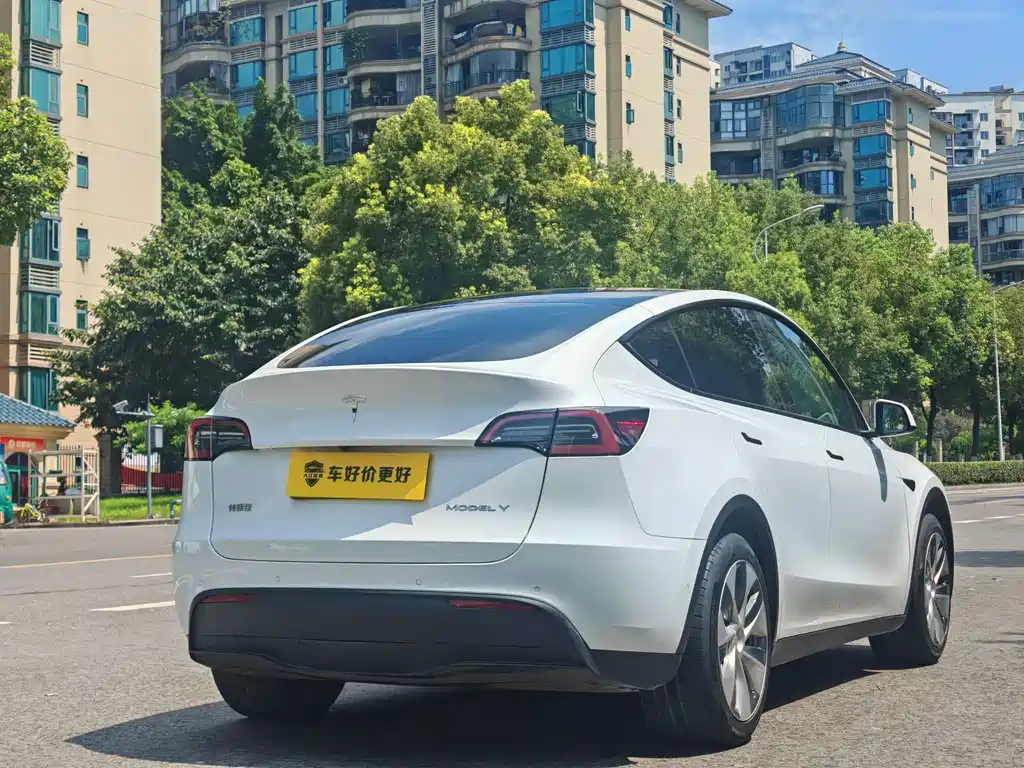 Tesla Model Y — миниатюра 12