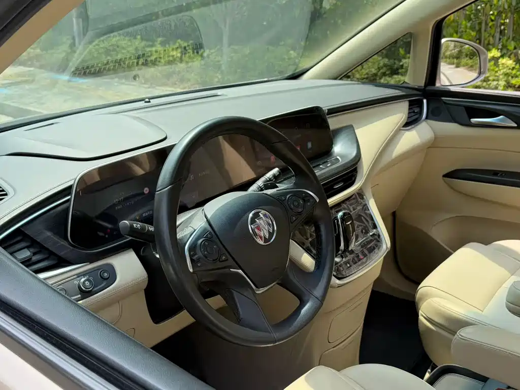 Buick GL8 — миниатюра 18
