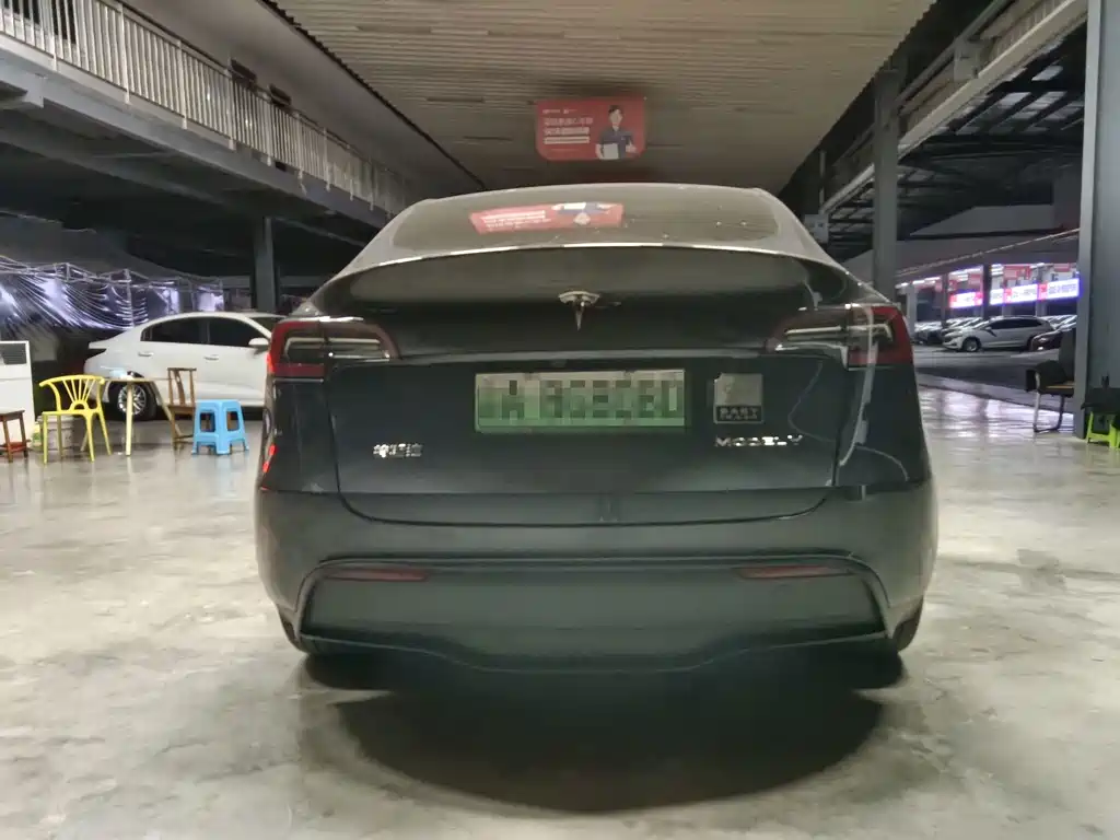 Tesla Model Y — миниатюра 4
