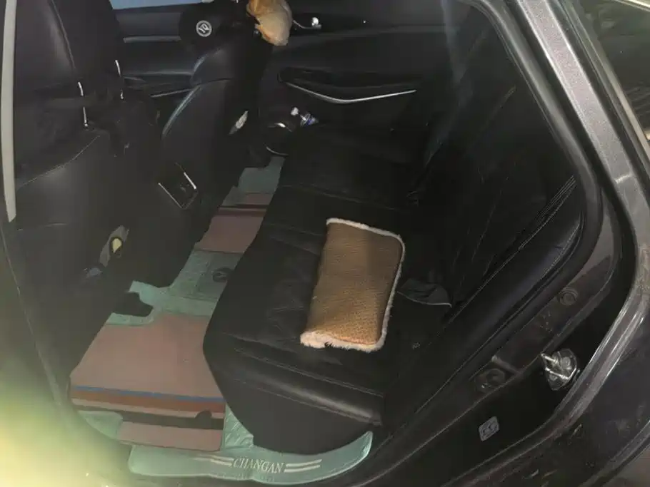 Changan Ruicheng CC — миниатюра 11