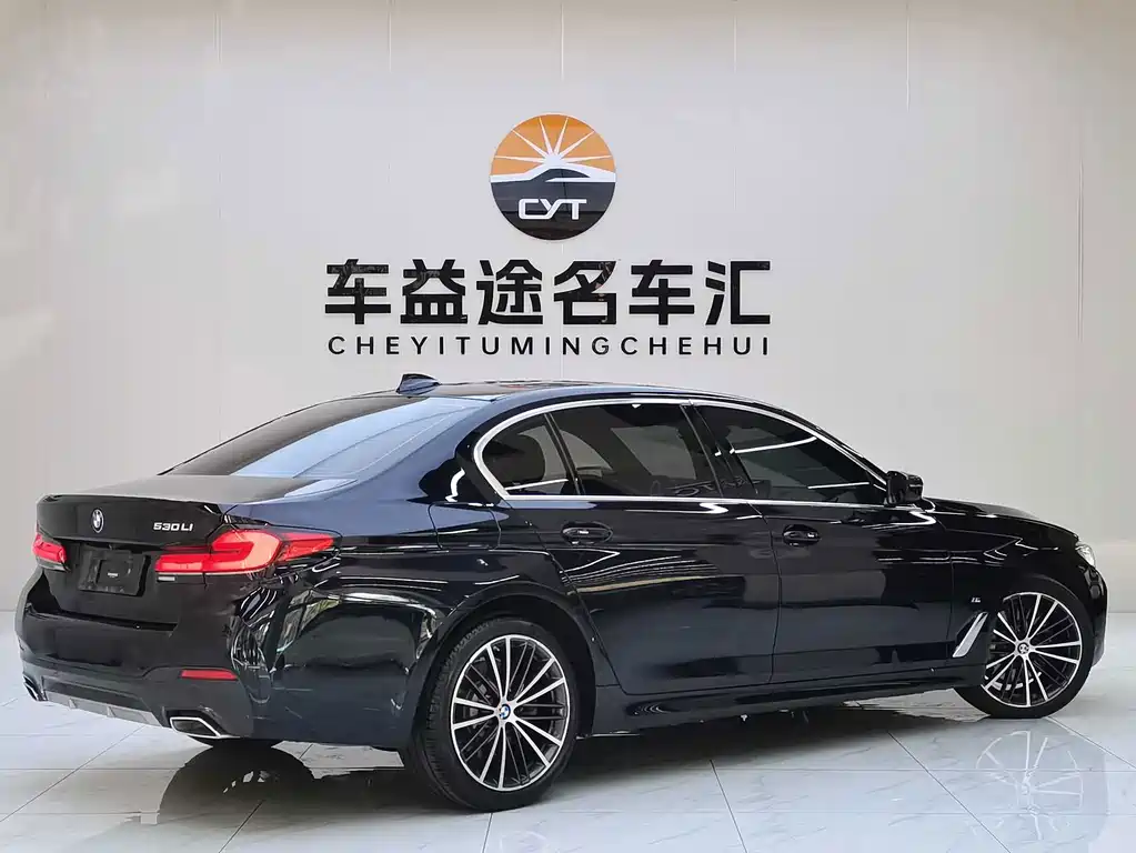 BMW 5 Series — миниатюра 4