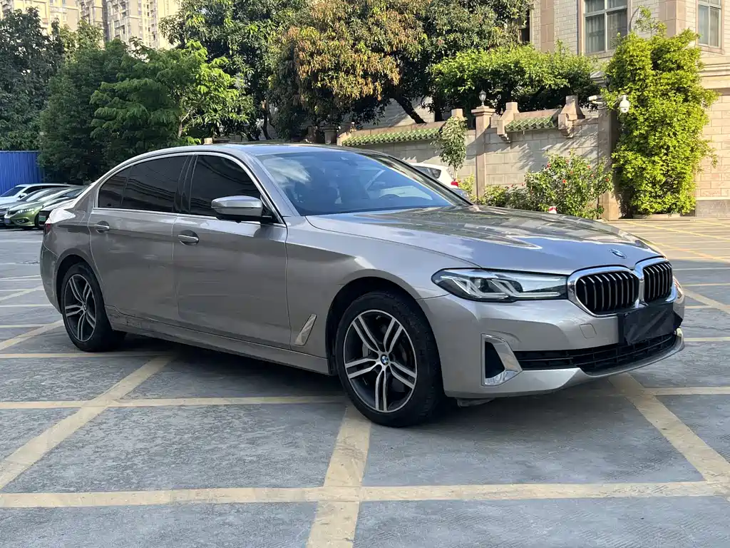BMW 5 Series 5 2021 530Li Lead Luxury