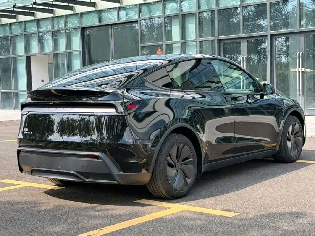 Tesla Model Y — миниатюра 4