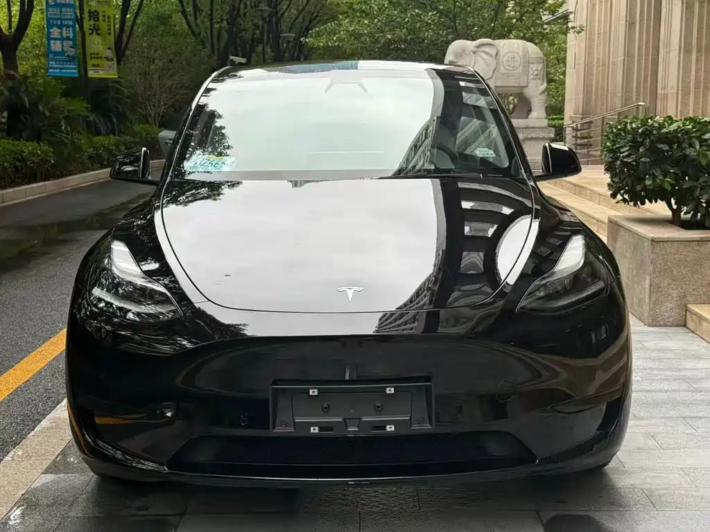 Tesla Model Y — фотографии объявления, Фото 3