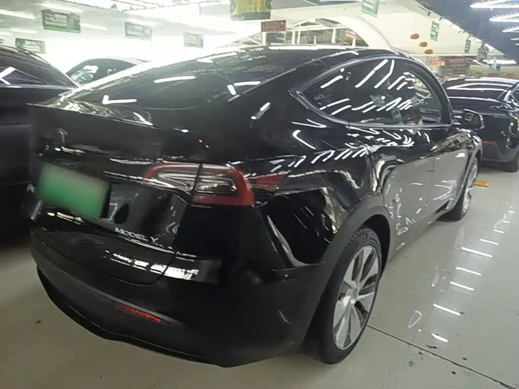 Tesla Model Y — миниатюра 7