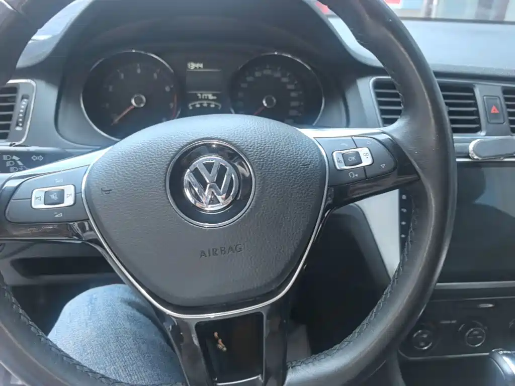 Volkswagen Gran Lavida — миниатюра 11