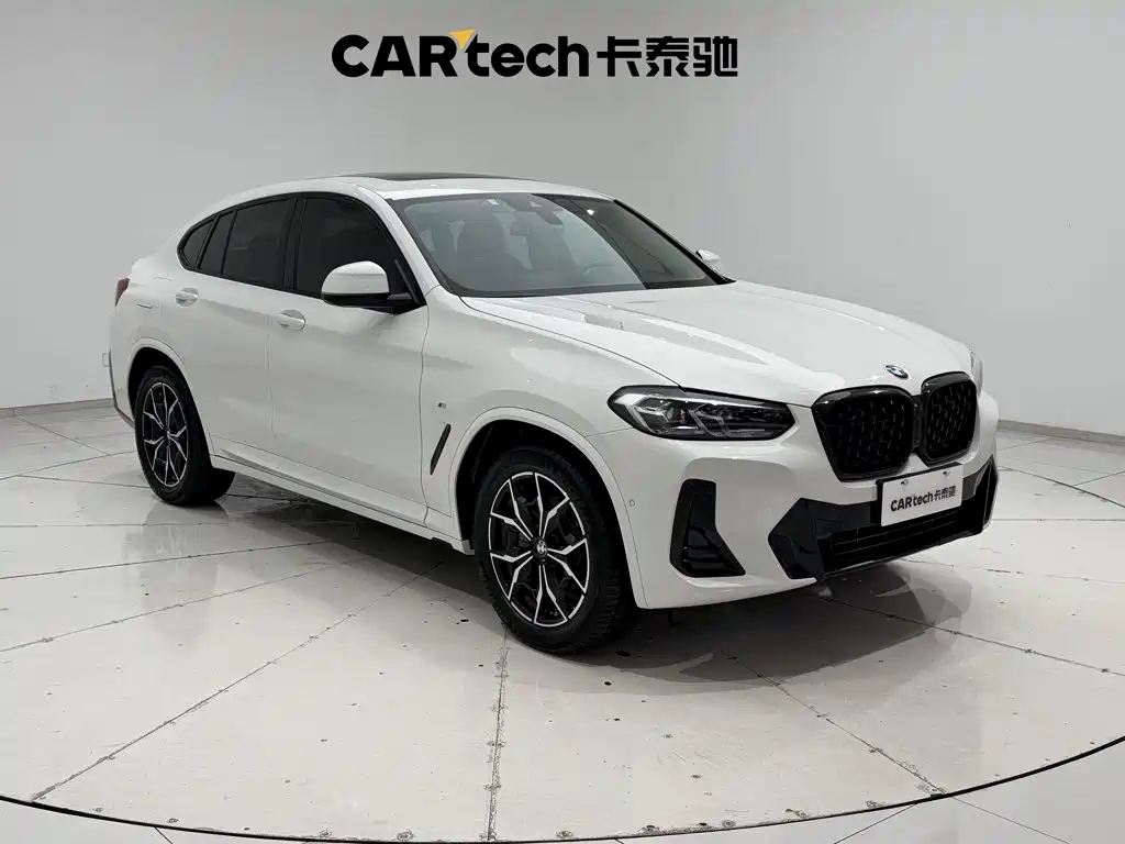 BMW X4 — миниатюра 2