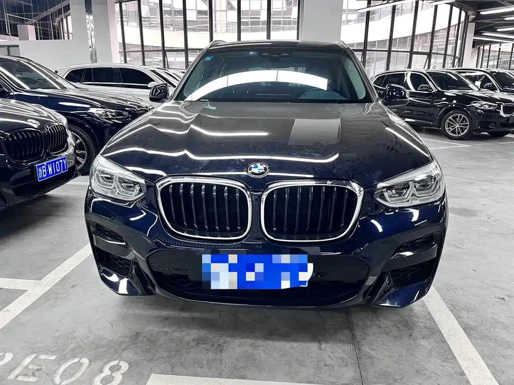 BMW X3 — миниатюра 2