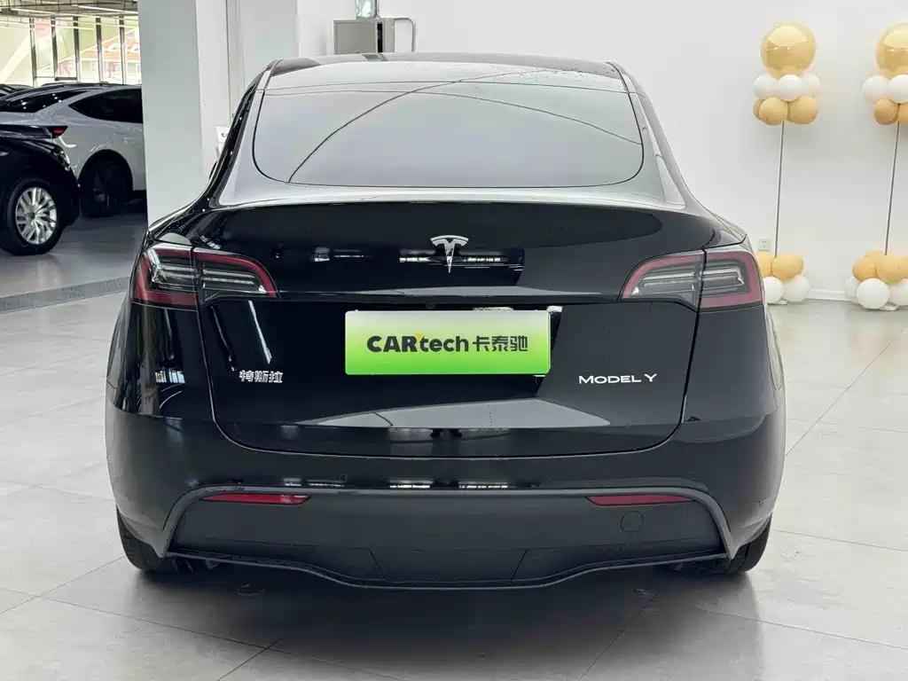 Tesla Model Y — миниатюра 4
