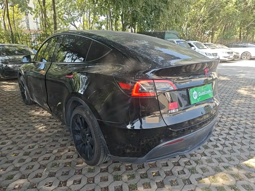 Tesla Model Y — миниатюра 5