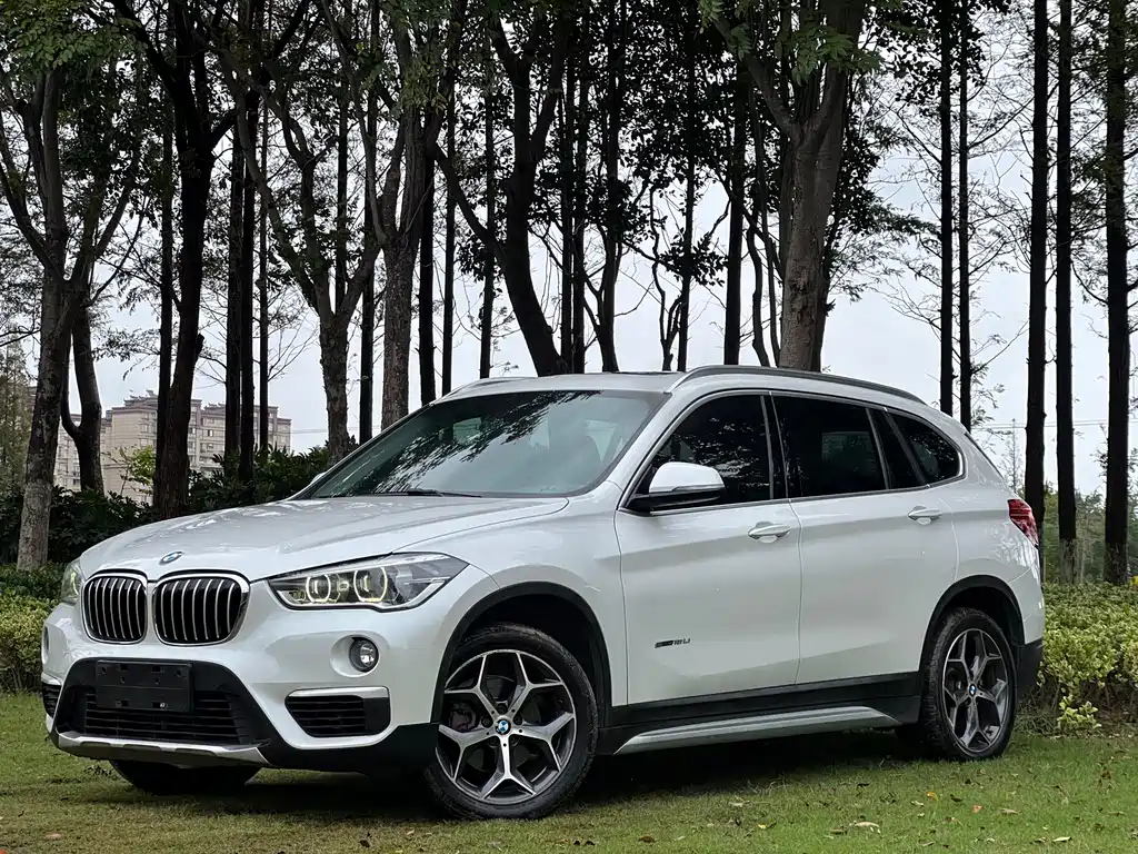 BMW X1 — миниатюра 10