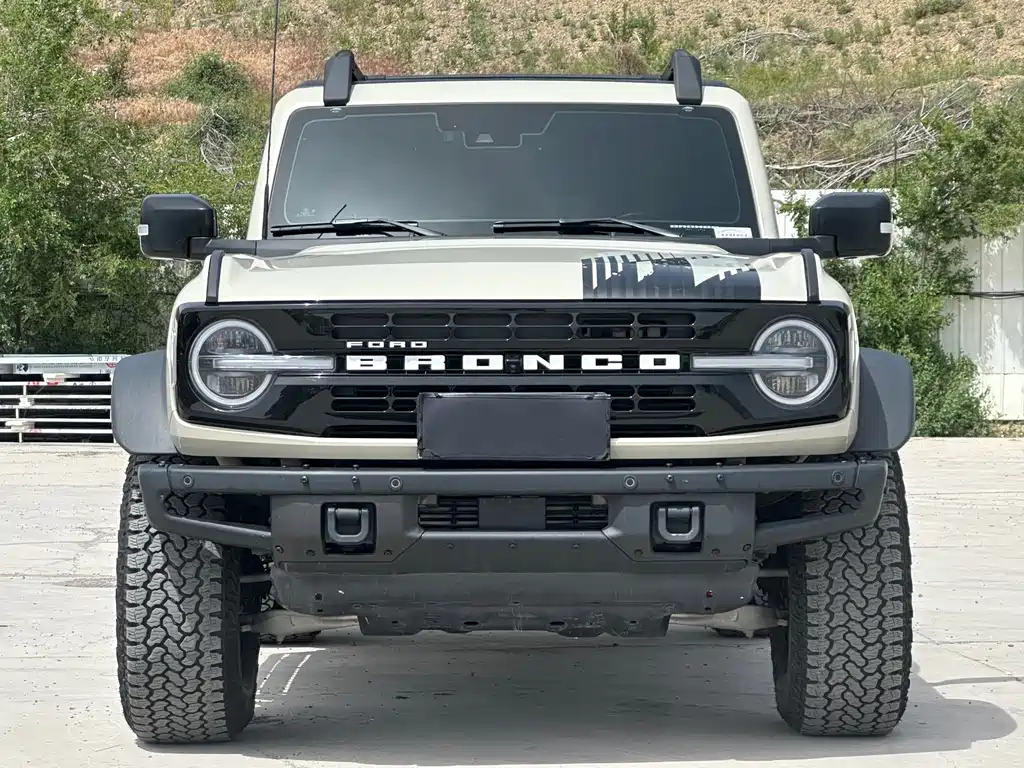 Ford Bronco — миниатюра 3