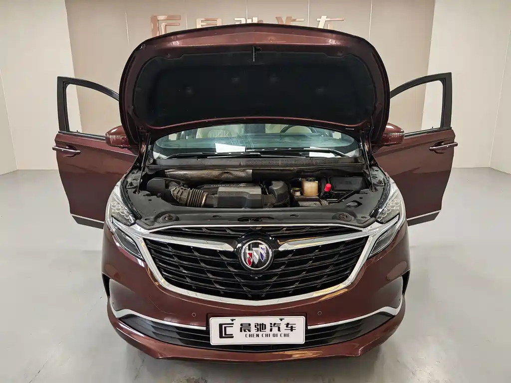 Buick GL8 — миниатюра 15