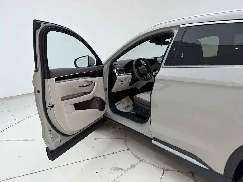 BYD PLUS New Energy — миниатюра 3