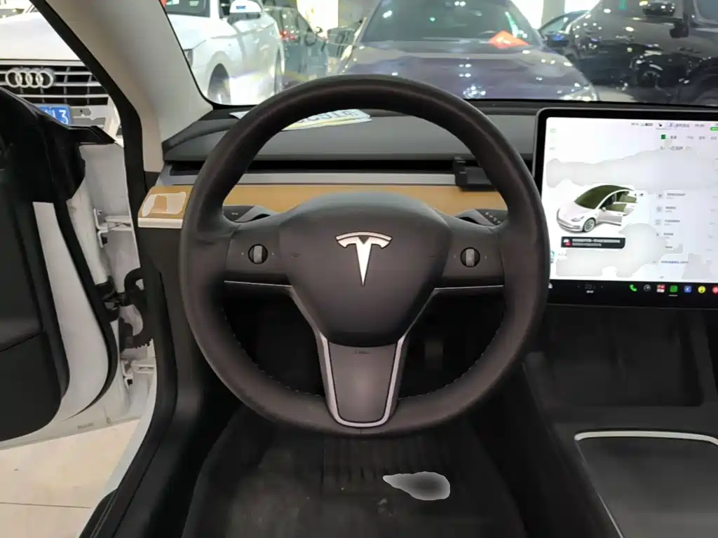 Tesla Model 3 — миниатюра 11