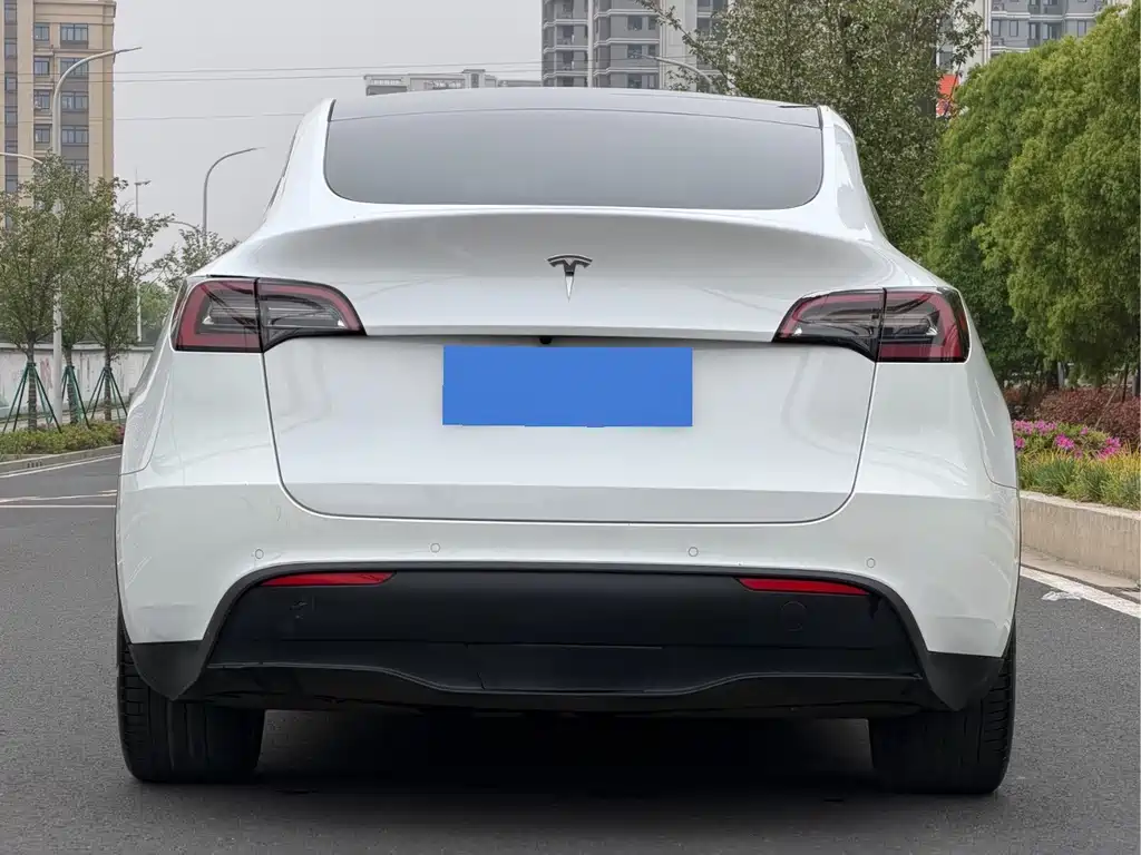 Tesla Model Y — миниатюра 11