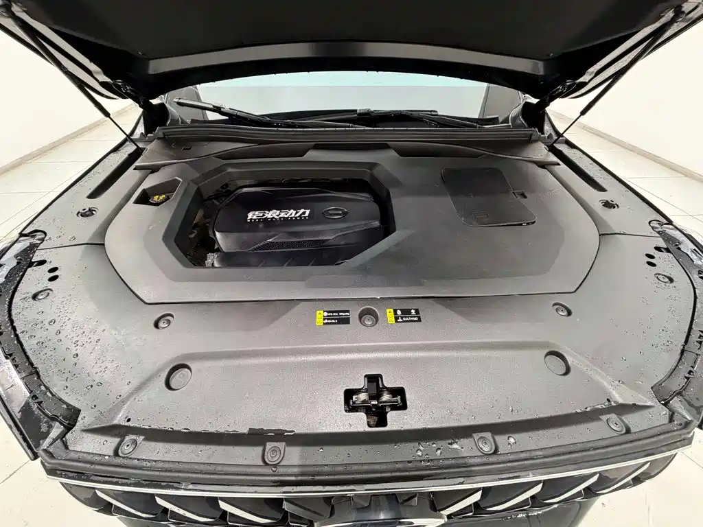 GAC Motor Trumpchi GS8 — миниатюра 12