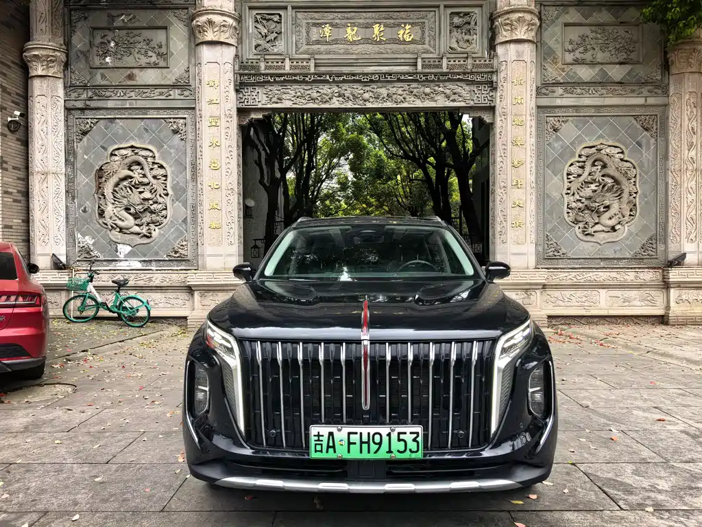 Hongqi HS7 PHEV 2.0T PHEV 4WD Flagship Smooth Edition 7 seats, фото 5