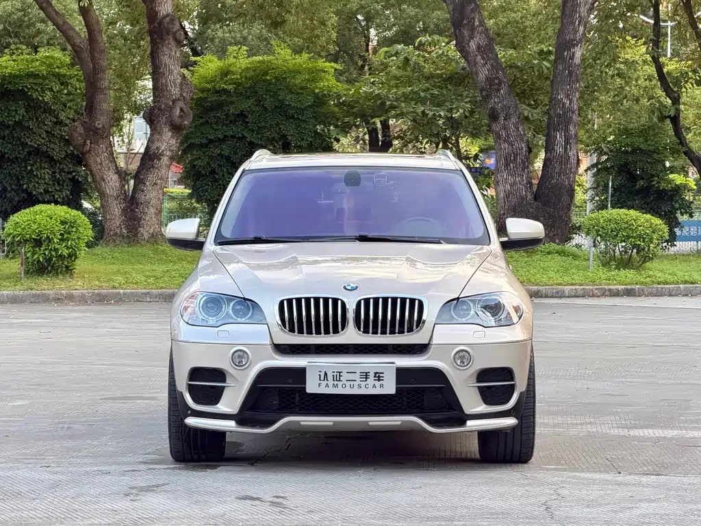 BMW X5 (Import) — миниатюра 2