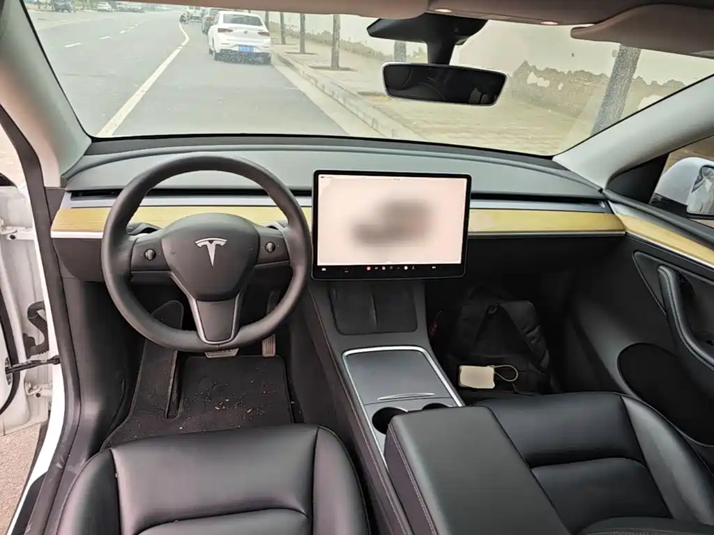 Tesla Model Y — миниатюра 10