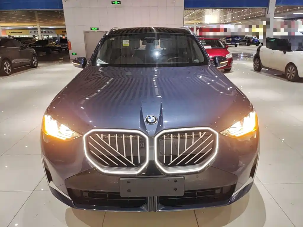 BMW X3 — миниатюра 3