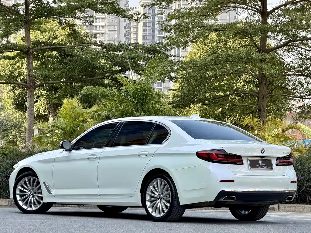 BMW 5 SERIES