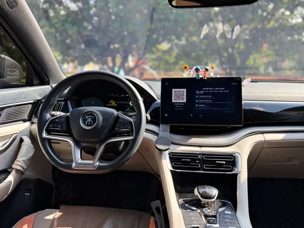 BYD PLUS New Energy — миниатюра 14