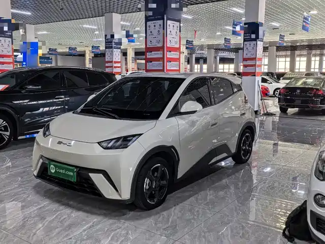 BYD Seagull