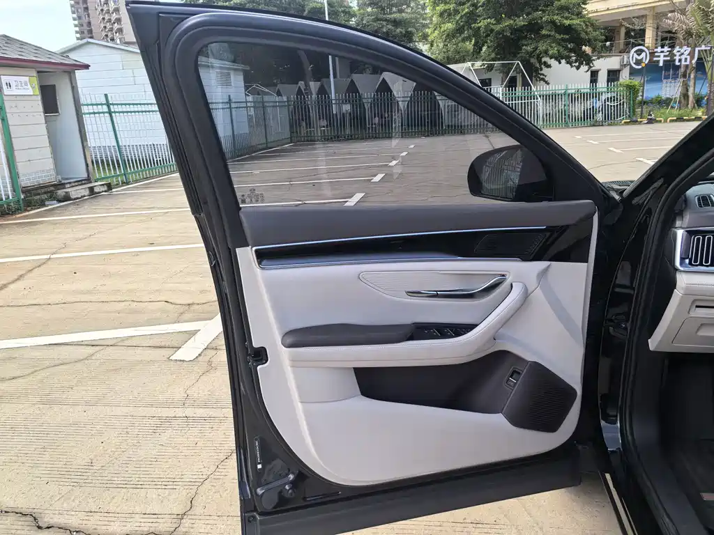 BYD PLUS New Energy — миниатюра 30