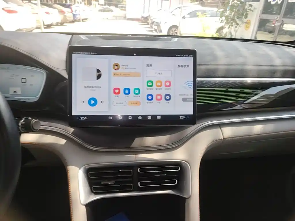 BYD PLUS New Energy — миниатюра 13