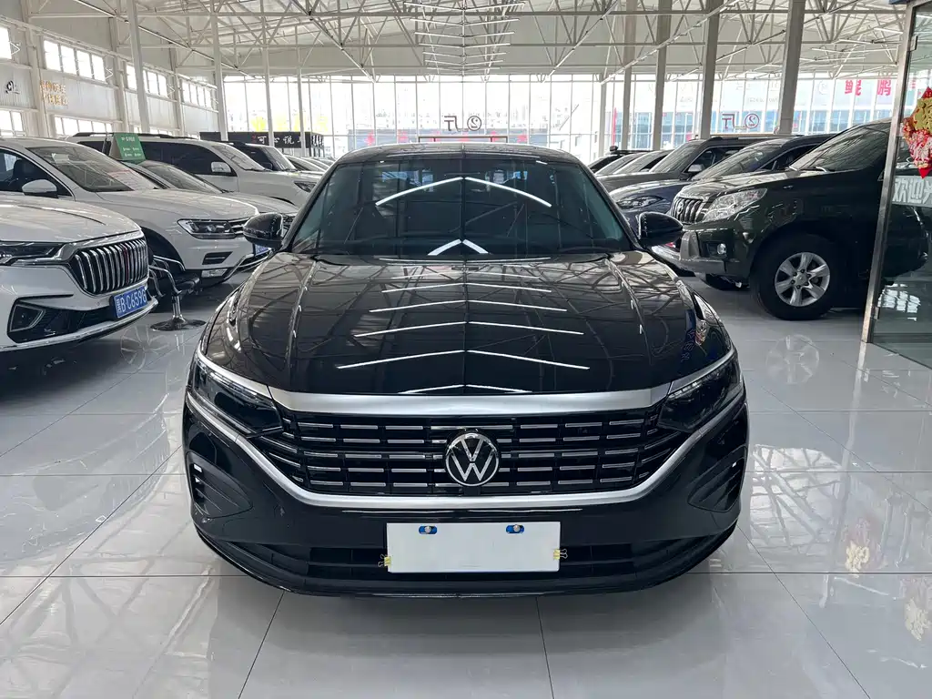 Volkswagen Passat — миниатюра 2