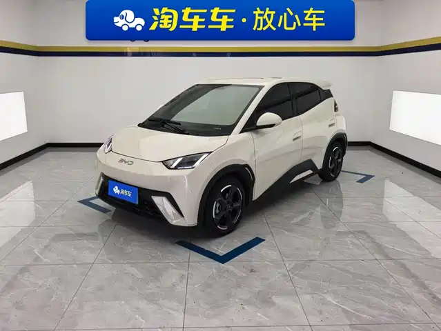 2024 BYD Seagull
