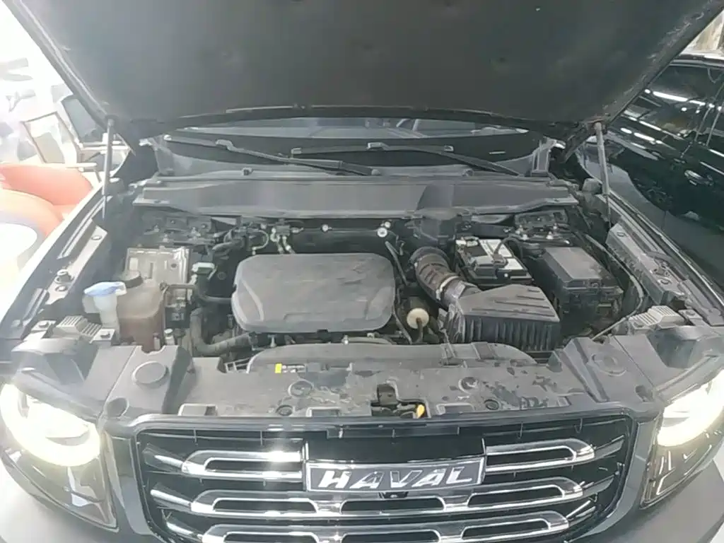 Haval 长城大狗 — миниатюра 20