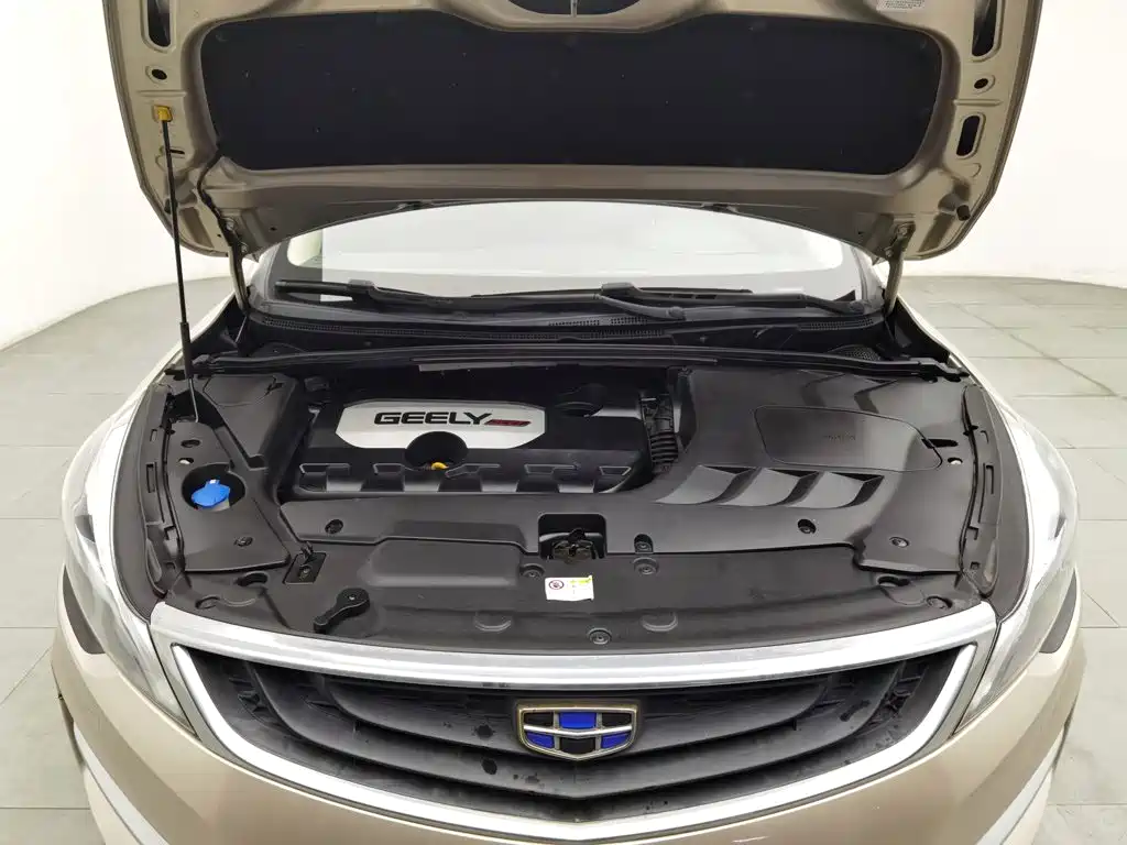 Geely Emgrand GS — миниатюра 6